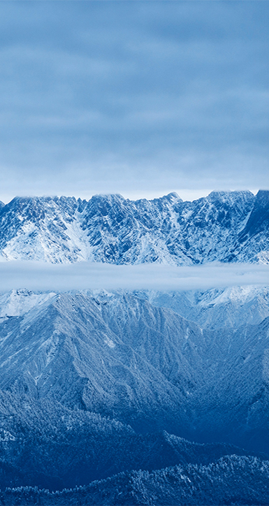 關(guān)于人生就是博